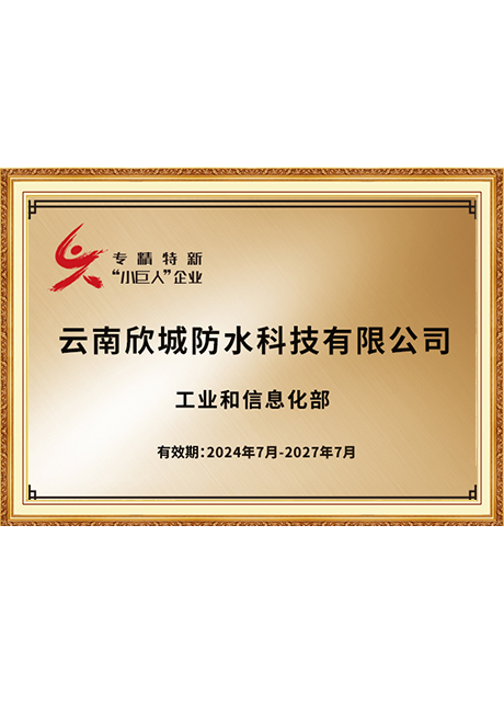 Certificate Of Honor