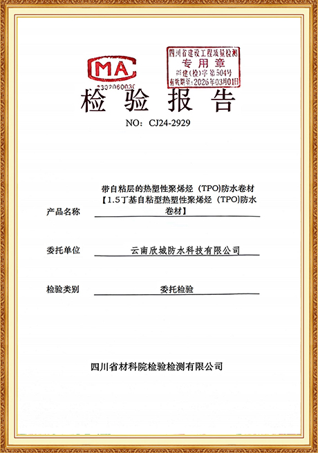 Certificate Of Honor